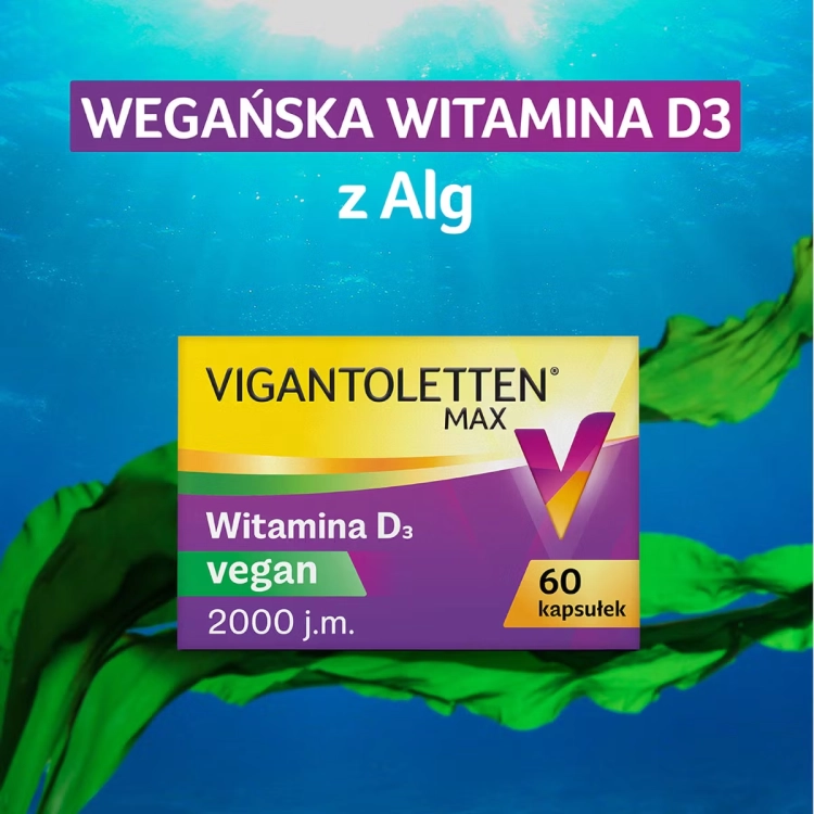 vigantoletten1.png