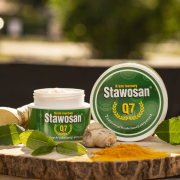 stawosan-sesja.png