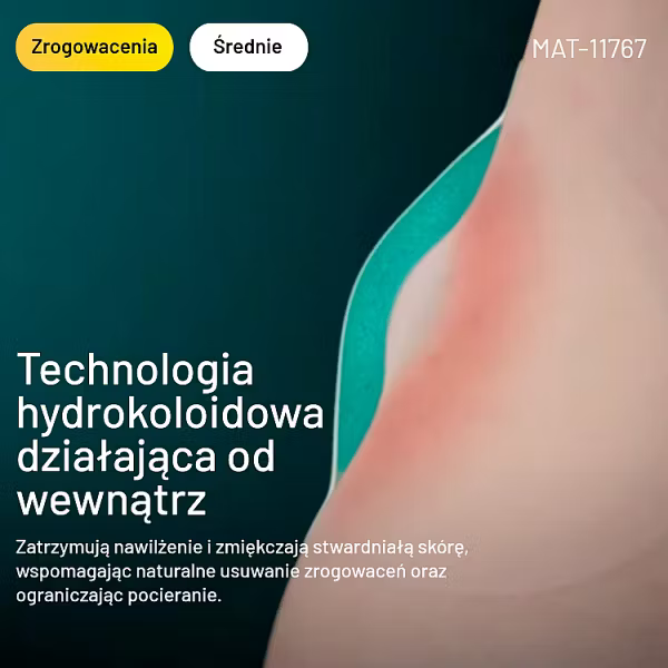1888341512_7658_c4e67ea7-c4ed-46a4-9763-0cd1afac84af.png