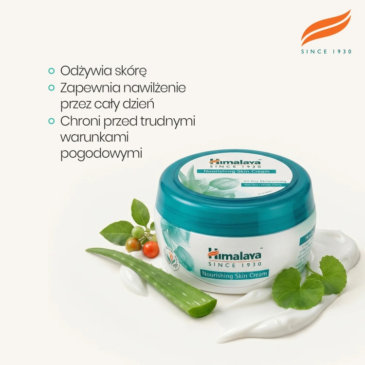NSC_3.webp