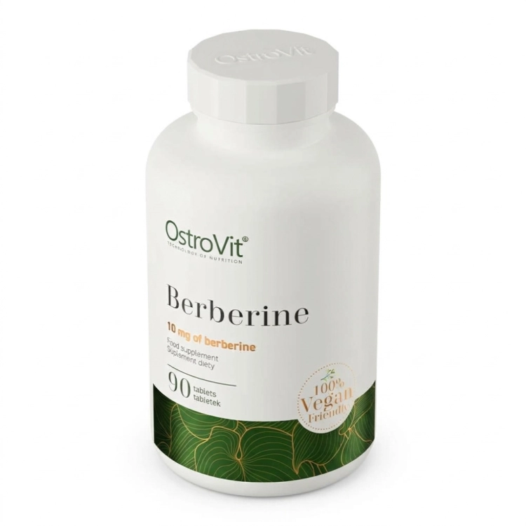 Gemini_Generated_Image_b14mrvb14mrvb14m.jpg