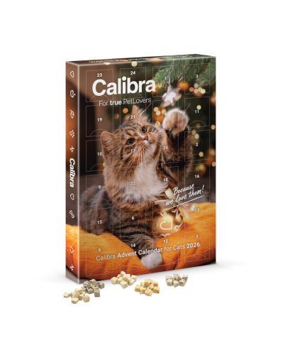 CALIBRA-AdventCalendar2026-CAT-3-26 - 3D vizualizace-1.png