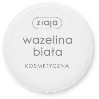 7032048.png