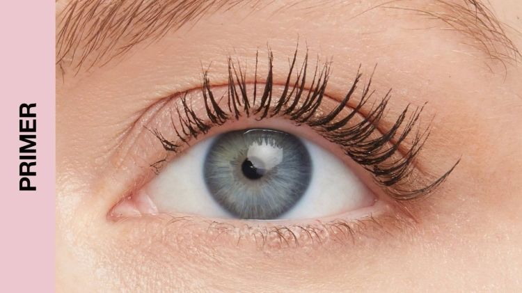 pobrane - 2025-08-19T152929.286.png