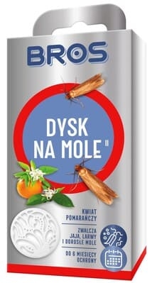 bros-dysk-na-mole-kwiat-pomaranczy.jpg