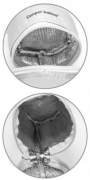 CANPOL-Termoopakowanie-na-butelke-UNIWERSALNE-EAN-GTIN-5903407690100.jpg