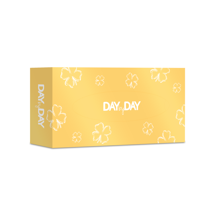 daybydayzolte.png