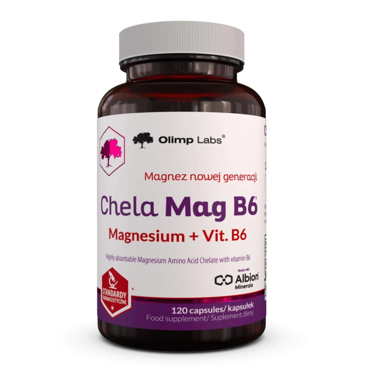chela_mag_b6_sloiczek_120kaps_en_pl_0001_00001.jpg