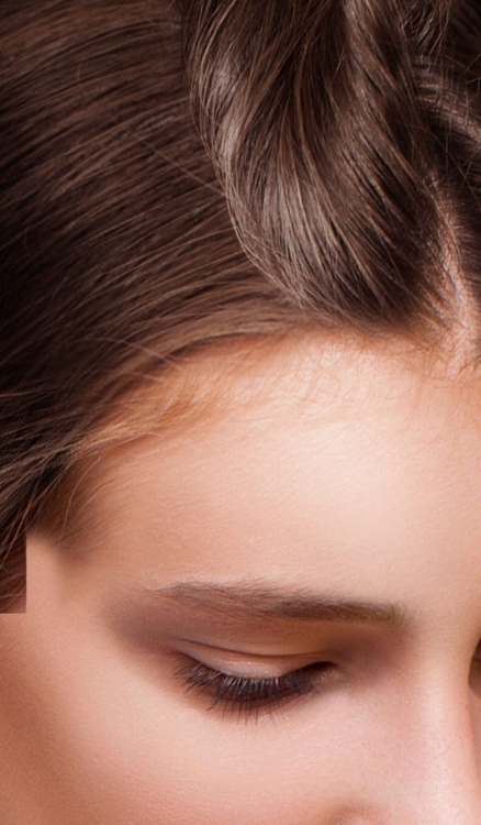 head-main-new.jpg