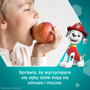 aquafresh-big-teeth-pasta-do-zebow-dla-dzieci-6-8-lat-psi-patrol-50-ml-17569023777.png