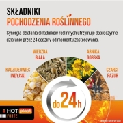 Hot-Plast-Forte-Plaster-rozgrzewajacy-9-x-14-cm-1-szt-68dbd2fd6aa5e.jpg