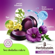 Herbitussin-Kaszel-i-Gardlo-pastyl-do-ssania-24-pastyl-690367cf14342.jpg