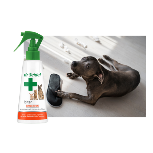 800 (800 x 800 px) (5).png