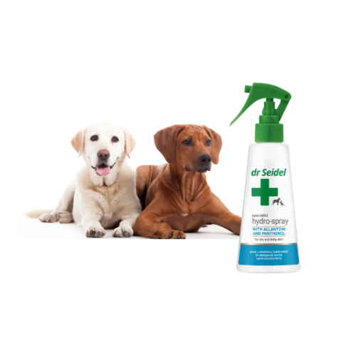 600 – kopia (600 x 600 px) (1).png