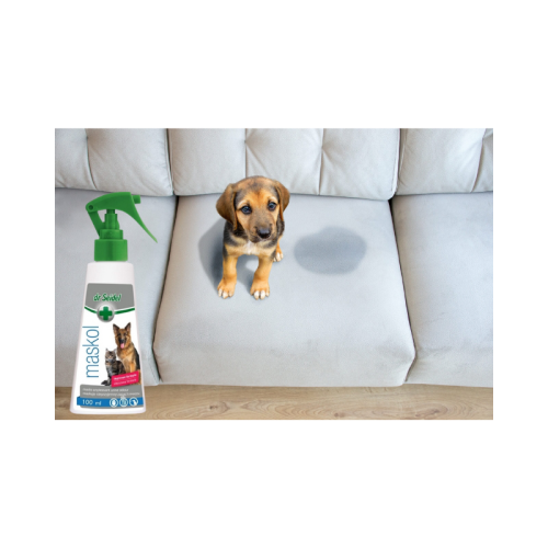 800 (800 x 800 px) (8).png