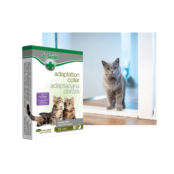 600 – kopia (600 x 600 px) (5).png