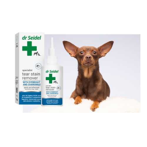 600 – kopia (18).png