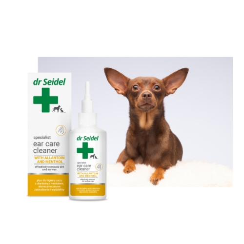 600 – kopia (17).png