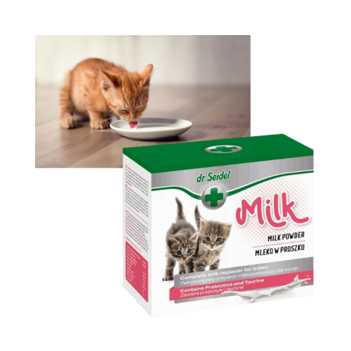 800 (800 x 800 px) (2).png