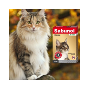 600 - 2025-10-29T140907.805.png