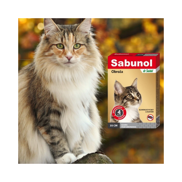 600 - 2025-10-29T140907.805.png