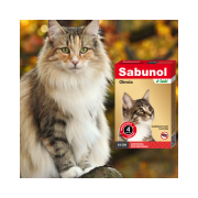 600 - 2025-10-29T142132.513.png