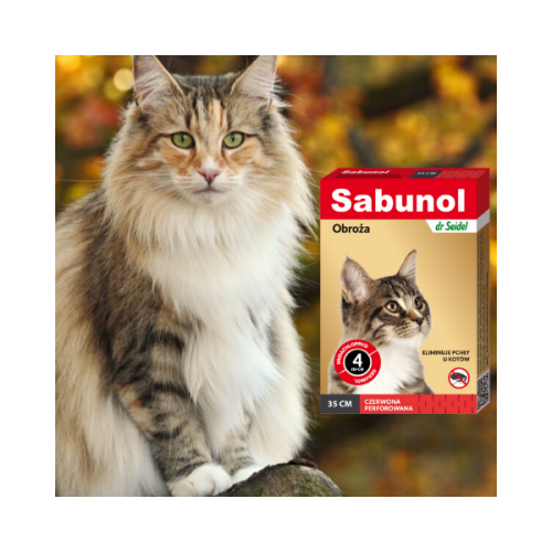 600 - 2025-10-29T142132.513.png