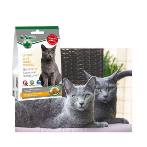 600 - 2025-10-30T085036.540.png