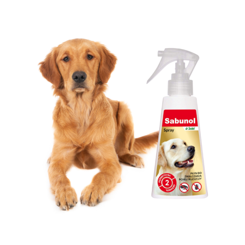 800 (800 x 800 px) (4).png