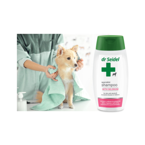 600 – kopia (12).png