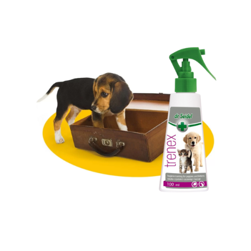 600 – kopia (600 x 600 px) (4).png