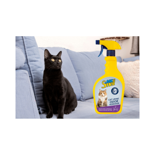 800 - 2025-10-31T091513.498.png