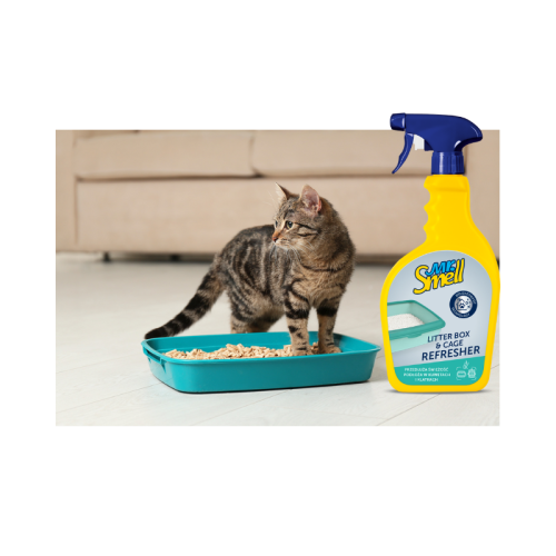 800 - 2025-10-31T090305.981.png