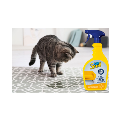 800 - 2025-10-30T144704.718.png