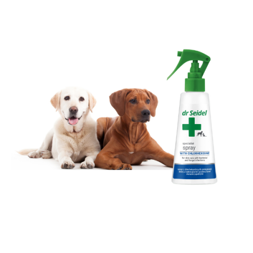 600 – kopia (600 x 600 px) (2).png