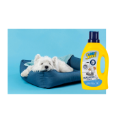 800 - 2025-10-31T100131.518.png