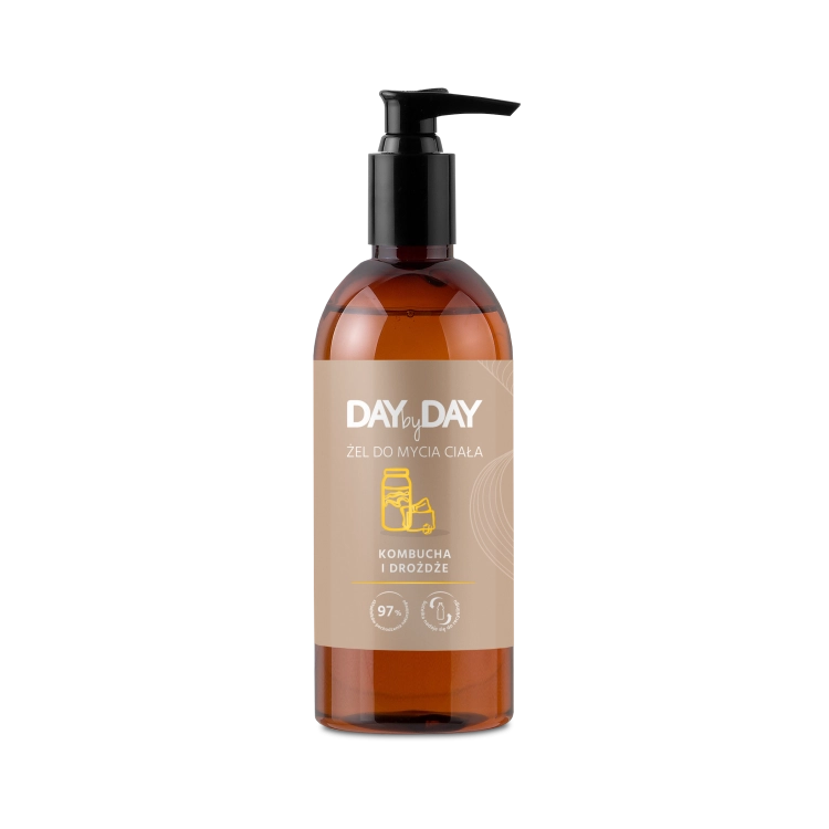 daybydaykombucha.png
