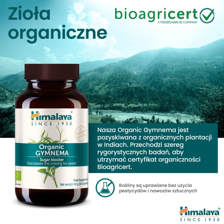 PL6_Himalaya_ORGANIC_GYMNEMA_IMAGES.jpg
