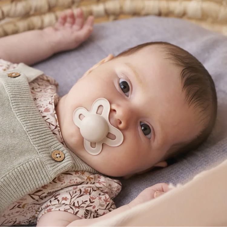 pobrane - 2026-02-19T142013.868.png