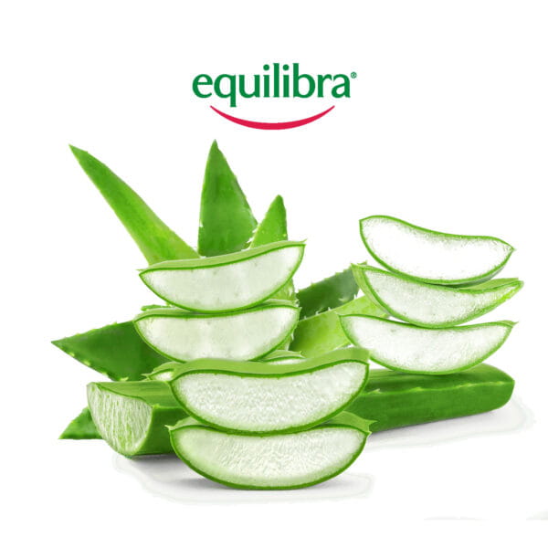 Equilibra_brak_zdjecia-600x600.jpg