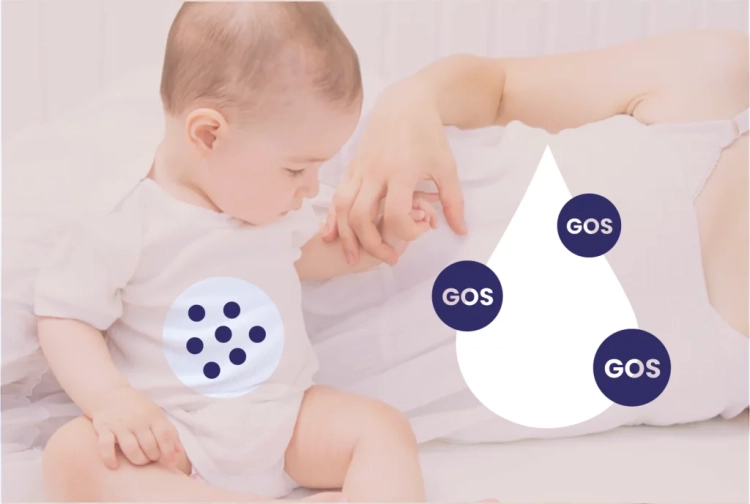 gos-3-68-1024x689.webp
