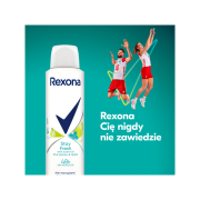 rexona-stay-fresh-blue-poppy-apple-48h-antyperspirant-spray-damski-150ml (1).jpg