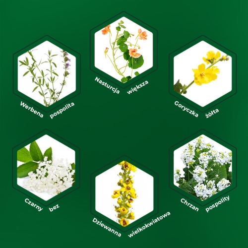 Sinulan Duo Forte 60_02.jpg