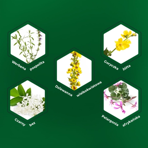 Sinulan Forte 60_02.jpg