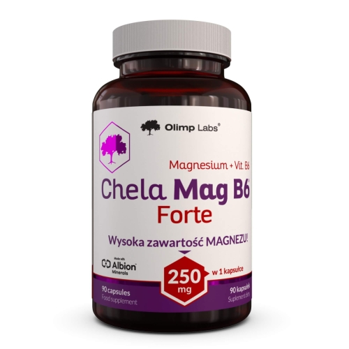 chela_mag_b6_forte_sloiczek_90kaps_en_pl.jpeg