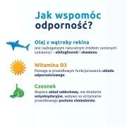 -1324308969.webp