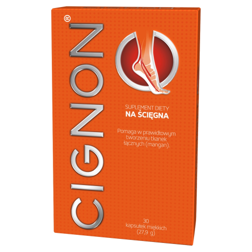 cignon.png