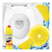 domestos-citrus-fresh-plyn-do-wc-750ml (1).jpg