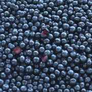 new-nordic-blue-berry-plus-60-tabletek-17521424985.png