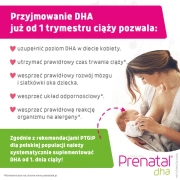 -2142008325.webp